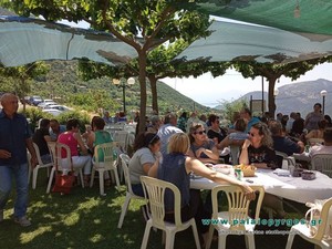 278bfd20575e6f18ba0f48bcc42da384ce418ff2_03_palaiopyrgosgr.jpg