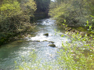 2b0b1b681c8f9b6aaee742481c3130ad3abf910e_ladonas_river_kalavrita_3.jpg