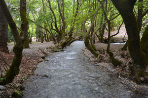 493e59aa237d46aa61bb6896e940017bdc7c9633_planitero_springs_of_aroanios_7.jpg
