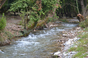 1e3de4b15ce13da608bded3712d3914f8e2d37b5_planitero_springs_of_aroanios_5.jpg