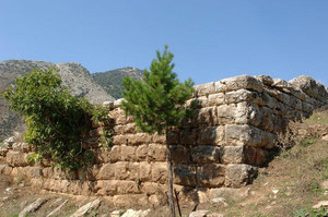 0506793d4ddfbe165193ed8afda62a12261f7d53_ancient-psofida-ci-novatec-3.jpeg