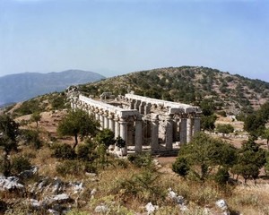 6807f699e53cc86fa519ed0dff1ae92cee251fb0_temple_of_apollo_epikourios_ancient_olympia_5.jpg