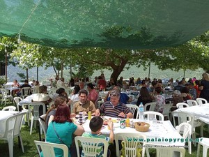 1a075926a53c5eee6f91997fd8d05d7472fecdc8_02_palaiopyrgosgr.jpg